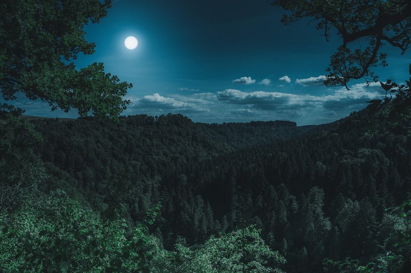 Moonlit Ambiance